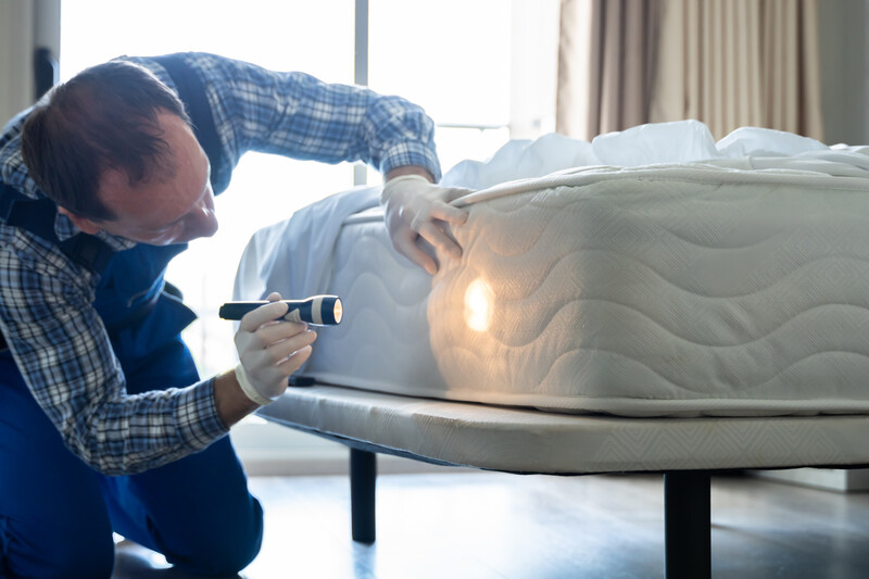 An exterminator checking a bed for the presence of bed bugs