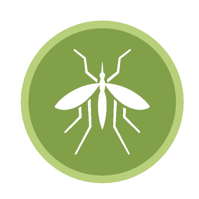 Icon of a mosquito